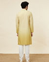 Yellow Green Trellis Patterned Ombre Dyed Kurta image number 4