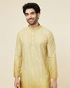 Yellow Green Trellis Patterned Ombre Dyed Kurta