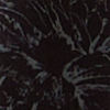 Black Botanical Printed Sequined Indo Western