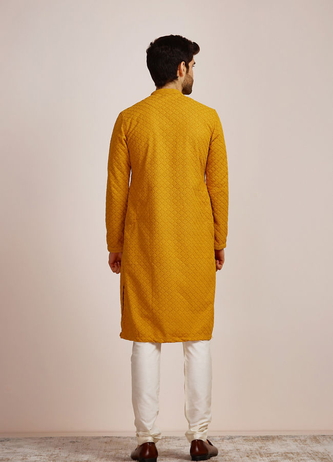 Mustard Yellow Embroidered Kurta Set image number 4