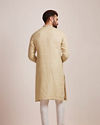 Biscuit Kurta With Designed Collar  image number 4