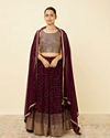 alt message - Mohey Women Wine Sequined Lehenga image number 0