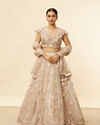Oyster Grey Floral Embroidered Lehenga