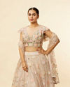 Mohey Women Oyster Grey Floral Embroidered Lehenga