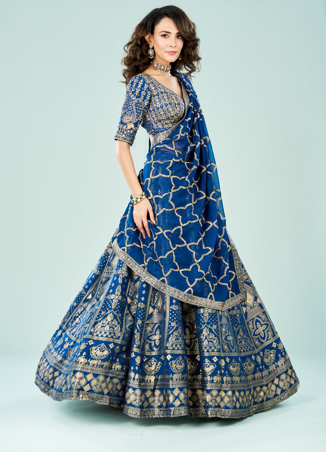 Mohey Women Moonlit Glow Lehenga
