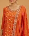 Mohey Women Pumpkin Orange Bel Buti Patterned Suit Set with Floral Butas image number 3