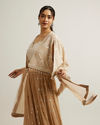 Mohey Women Beige Georgette with Hand Embroidery and Sequin Indo Western