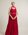 Rani Pink Embroidered Anarkali with Sequin Work