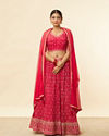 Rani Pink Sequined Floral Jaal Patterned Lehenga