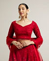 Mohey Women Ruby Red Floral Embroidered Crop Top Lehenga