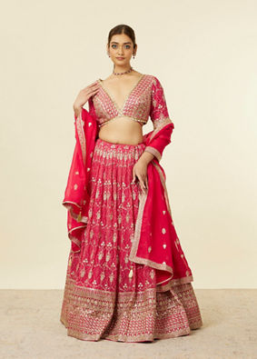 Mohey Women Rani Pink Imperial Floral Buta Patterned Lehenga Lehenga with Mirror work