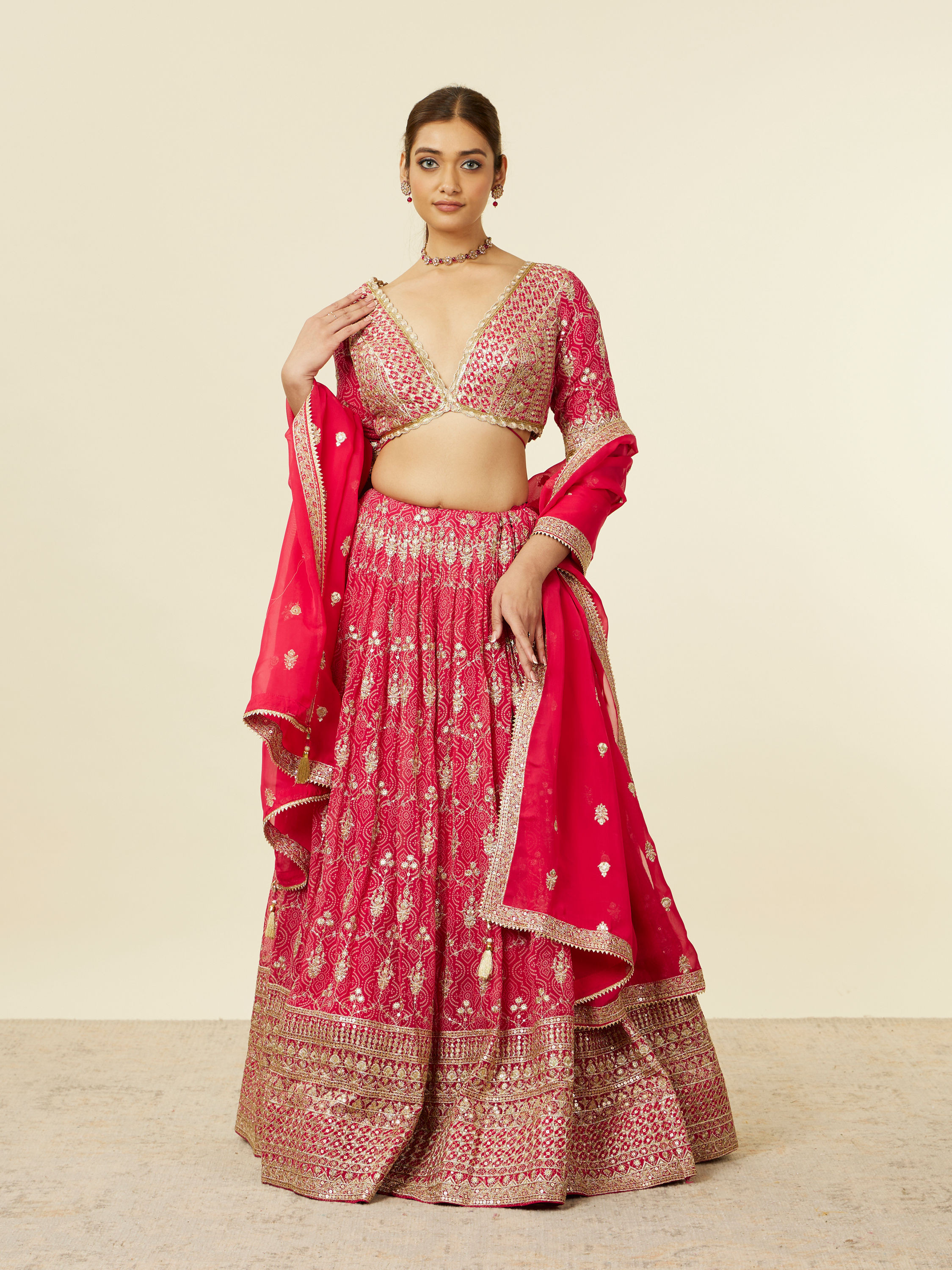 Mohey Women Rani Pink Imperial Floral Buta Patterned Lehenga Lehenga with Mirror work