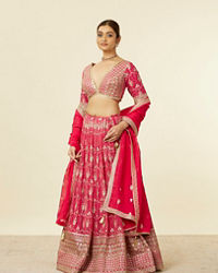 Mohey Women Rani Pink Imperial Floral Buta Patterned Lehenga Lehenga with Mirror work