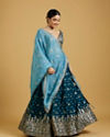 Azure Blooms in Organza Lehenga