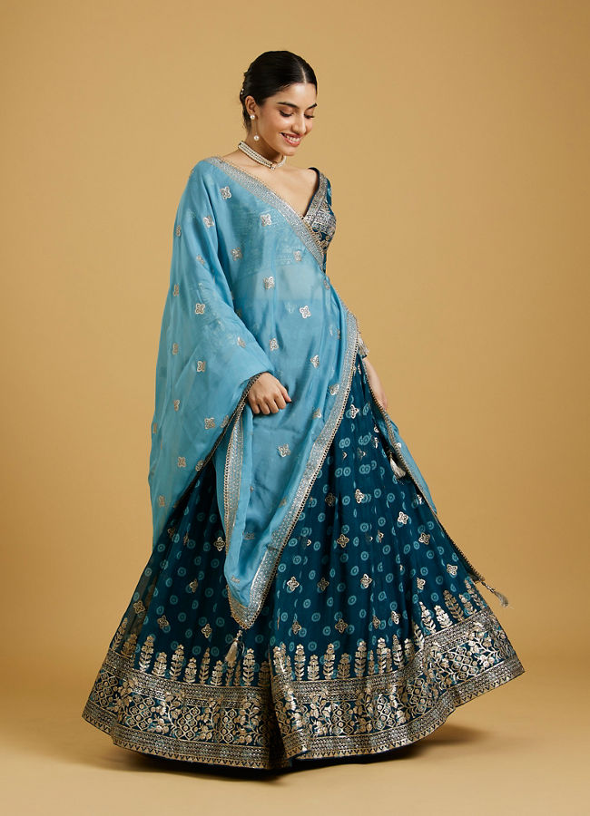 Mohey Women Azure Blooms in Organza Lehenga image number 0