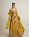 alt message - Mohey Women Glistening Yellow Radiance Lehenga image number 0