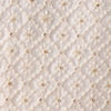 Elegant Cream Sherwani