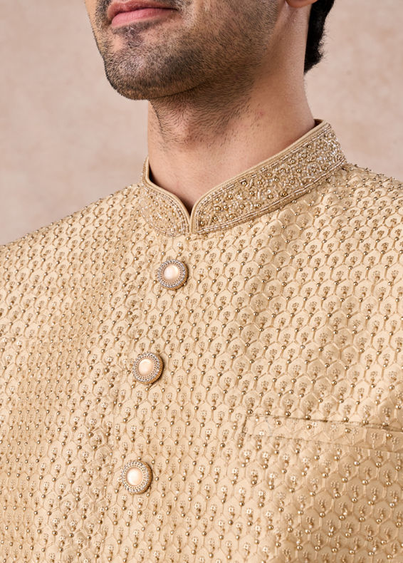 Manyavar Men Fawn Splendor Sherwani