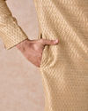 Manyavar Men Fawn Splendor Sherwani