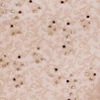 Cream-coloured Radiant Sherwani