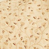 Opulent Fawn Sherwani Set