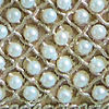 Cream Art Silk Elegance Bag