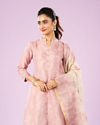 Mohey Women Elegant Light Pink Anarkali Suit