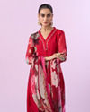 Mohey Women Red Organza Straight Suits