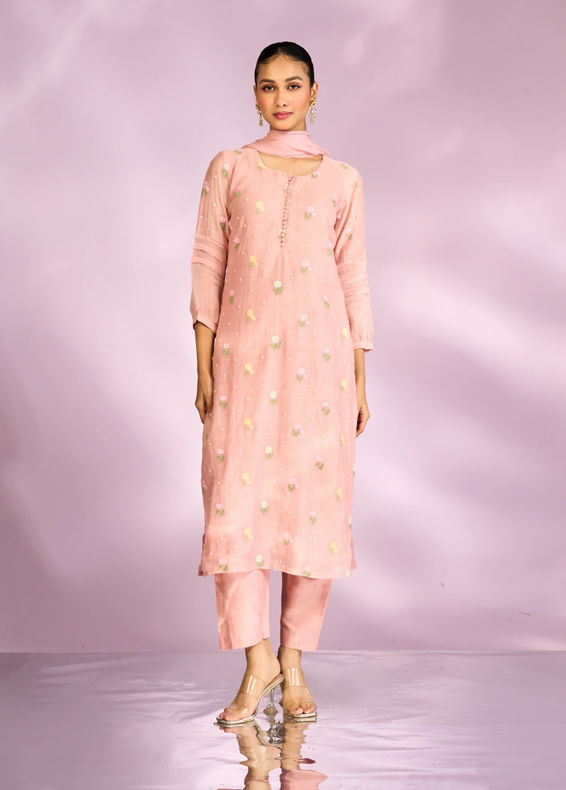 Mohey Women Elegant Light Pink Straight Suit