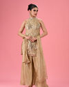 Fawn Elegance Net Palazzo Suit