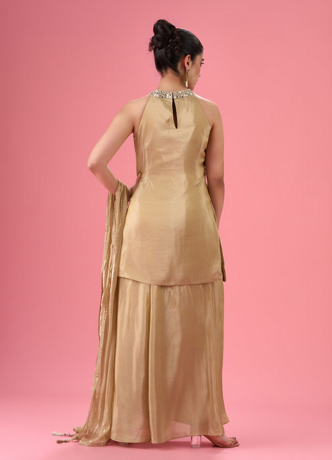 Mohey Women Fawn Elegance Net Palazzo Suit