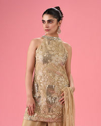 Mohey Women Fawn Elegance Net Palazzo Suit