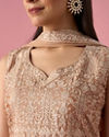 Mohey Women Fawn Silk Sharara Suit with Stone Work