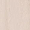 Cream Chinon Palazzo Suit with Embroidery