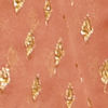Flamingo Pink Diamond Patterned Saree