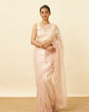 Soft Pink Saree Bordered with Stone Work