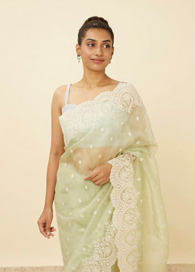 Pistachio Green Saree with Floral Vine Patterned Borders image number 1