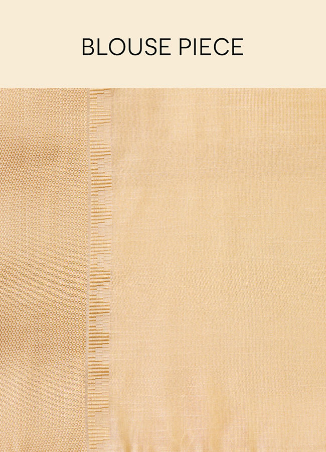 Mohey Women Ivory White Saree with Sequins and Patterned Borders