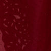 Maroon Splendor Satin Saree
