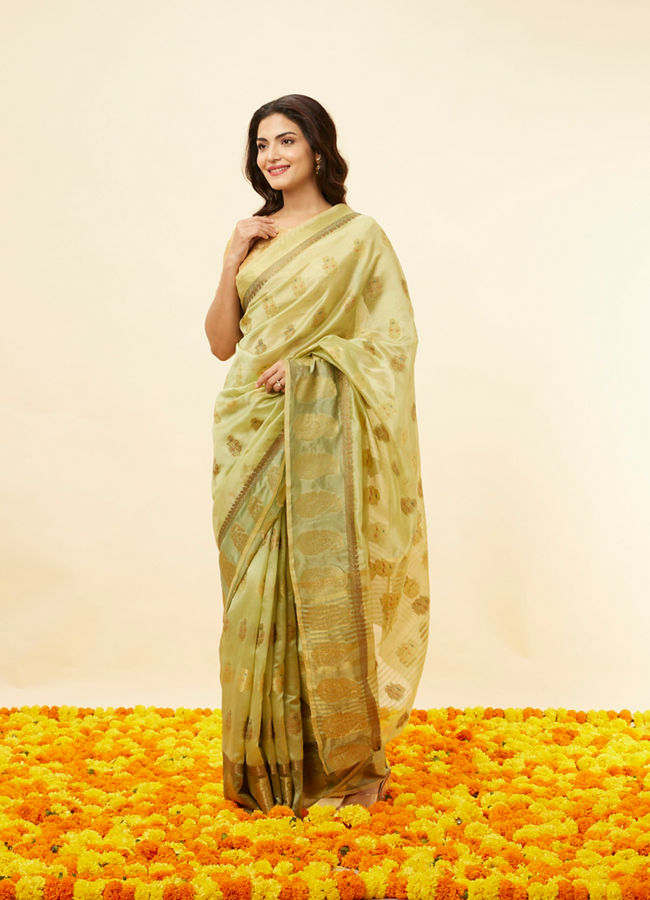 Pista Green Fern and Paisley Motif Saree image number 3