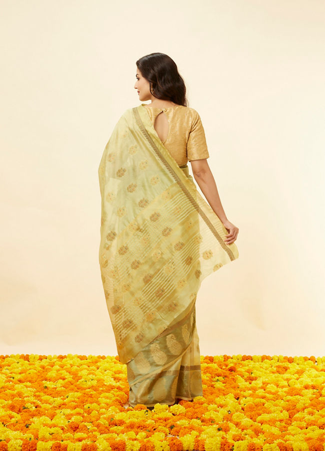 Pista Green Fern and Paisley Motif Saree image number 2