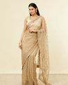 Fawn Sequinned Saree image number 0
