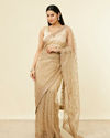 Fawn Sequinned Saree