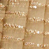 Fawn Sequinned Saree