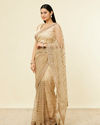 Fawn Sequinned Saree image number 3