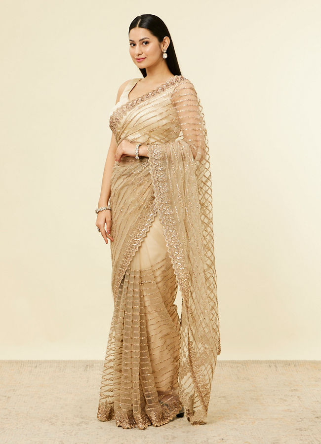 Fawn Sequinned Saree image number 3