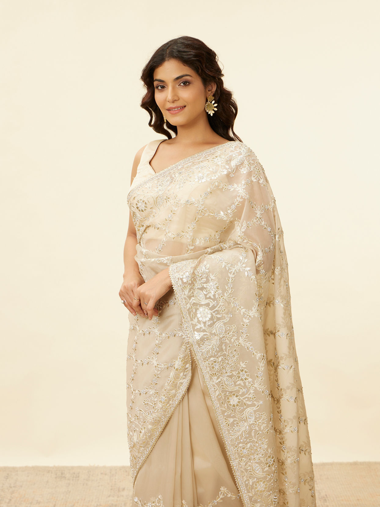 Light Beige Bagh Embroidered Stone Work Saree image number 1