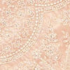 Blush Pink Stone Embellished Saree