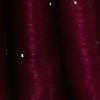 Wine Red Stone Embellished Saree