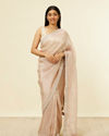 Fawn Stone Embellished Border Saree